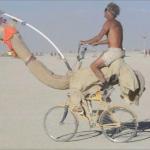 Camel bike