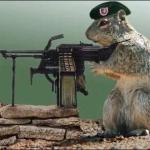 Squirrel machine gun