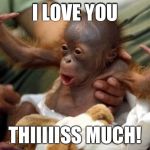 How much I love you. | I LOVE YOU THIIIIISS MUCH! | image tagged in orangutan | made w/ Imgflip meme maker