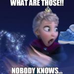 what are those!  | WHAT ARE THOSE!! NOBODY KNOWS... | image tagged in what are those | made w/ Imgflip meme maker
