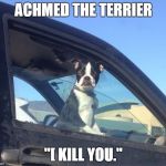Boston Terrier | ACHMED THE TERRIER "[ KILL YOU." | image tagged in boston terrier | made w/ Imgflip meme maker