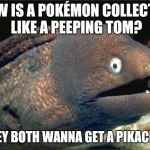 Bad Joke Eel | HOW IS A POKÉMON COLLECTOR LIKE A PEEPING TOM? THEY BOTH WANNA GET A PIKACHU! | image tagged in bad joke eel | made w/ Imgflip meme maker