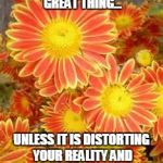 flowers | HOPE IS A REALLY GREAT THING... UNLESS IT IS DISTORTING YOUR REALITY AND DERAILING YOUR FUTURE. | image tagged in flowers | made w/ Imgflip meme maker