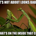 The Mantis love life can be a little rough. | IT'S NOT ABOUT LOOKS BABY IT'S WHAT'S ON THE INSIDE THAT COUNTS | image tagged in mantis cannibal,mantis,praying mantis,insects,funny | made w/ Imgflip meme maker