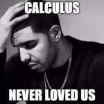 Drake | CALCULUS NEVER LOVED US | image tagged in drake | made w/ Imgflip meme maker