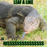 lizard | LEAF A LIKE HISSSSSSSSSSSSSSS | image tagged in lizard | made w/ Imgflip meme maker