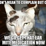 For those people that wait until the last minute to go to the vet. | I DON'T MEAN TO COMPLAIN BUT CAN WE GO GET THAT EAR MITE MEDICATION NOW | image tagged in head mice,cats,mice,funny,annimals | made w/ Imgflip meme maker