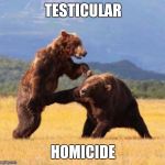 Bear punch | TESTICULAR HOMICIDE | image tagged in bear punch | made w/ Imgflip meme maker