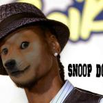 Snoop Doge meme