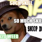 Snoop Doge | SUCH SKILL 420 WEED SO MUCH SKILL | image tagged in snoop doge | made w/ Imgflip meme maker
