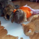 they still suspect nothing