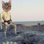 Luke on Tatooine meme