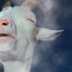 stoner goat