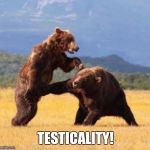 Bear punch | TESTICALITY! | image tagged in bear punch | made w/ Imgflip meme maker