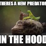 Mantis Pinning Toad | THERES A NEW PREDATOR IN THE HOOD | image tagged in mantis pinning toad | made w/ Imgflip meme maker