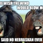 Horses | SURE WISH THE WIND SAID NO NEBRASKAN EVER WOULD BLOW MORE | image tagged in horses | made w/ Imgflip meme maker