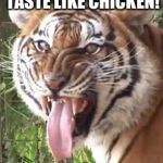 tiger opinion | BUFFALO DOES NOT TASTE LIKE CHICKEN! WHODEY!!!! | image tagged in tiger opinion | made w/ Imgflip meme maker