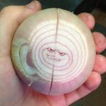 angry onion meme