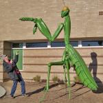 Giant praying mantis attack