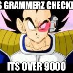 Dragonball | HIS GRAMMERZ CHECKING ITS OVER 9000 | image tagged in dragonball | made w/ Imgflip meme maker