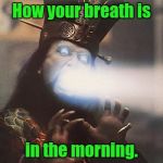 Yea, you know what I'm talking about........ | How your breath is in the morning. | image tagged in lo pan2,memes,funny memes,hilarious | made w/ Imgflip meme maker