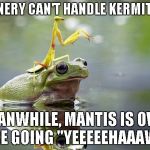 Bring it on Kermit | CONNERY CAN'T HANDLE KERMIT AND MEANWHILE, MANTIS IS OVER HERE GOING "YEEEEEHAAAWW" | image tagged in mantis on kermit,praying mantis,mantis,frog,animals,insects | made w/ Imgflip meme maker