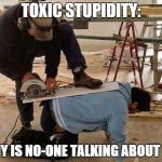 stupid | TOXIC STUPIDITY: WHY IS NO-ONE TALKING ABOUT IT? | image tagged in stupid | made w/ Imgflip meme maker
