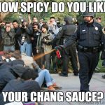 Pepper spray cop | HOW SPICY DO YOU LIKE YOUR CHANG SAUCE? | image tagged in pepper spray cop | made w/ Imgflip meme maker