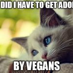 First World Problems Cat | WHY DID I HAVE TO GET ADOPTED BY VEGANS | image tagged in memes,first world problems cat | made w/ Imgflip meme maker