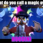 hoodini | what do you call a magic owl? HOODINI | image tagged in hoodini | made w/ Imgflip meme maker