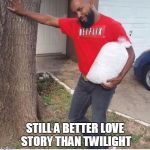 How the evenings usually go | STILL A BETTER LOVE STORY THAN TWILIGHT | image tagged in netflix and chill,netflix meme,netflix and chill meme | made w/ Imgflip meme maker