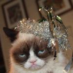 Grumpy Party Cat