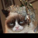 Grumpy Party Cat