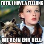 dorothy | TOTO, I HAVE A FEELIING WE'RE IN EHR HELL. | image tagged in dorothy | made w/ Imgflip meme maker
