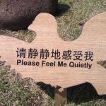 Please feel me quietly