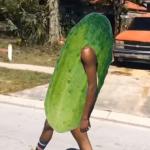 pickle skate