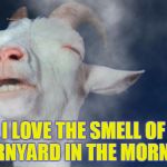 http://www.elafter.com/wp-content/uploads/2013/10/smokehigh-goat | I LOVE THE SMELL OF BARNYARD IN THE MORNING | image tagged in http//wwwelaftercom/wp-content/uploads/2013/10/smokehigh-goat | made w/ Imgflip meme maker