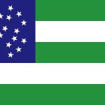 Nypd flag