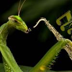 Mantis Playing Sax