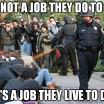 Pepper spray cop | IT'S NOT A JOB THEY DO TO LIVE IT'S A JOB THEY LIVE TO DO | image tagged in pepper spray cop | made w/ Imgflip meme maker