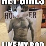 hey girls | HEY GIRLS LIKE MY BOD | image tagged in hey girls | made w/ Imgflip meme maker
