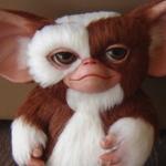Mogwai