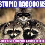 stealth | STUPID RACCOONS THEY NEVER SUSPECT A THING HEHEHE | image tagged in stealth | made w/ Imgflip meme maker