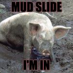 Pig in Mud | MUD SLIDE I'M IN | image tagged in pig in mud | made w/ Imgflip meme maker