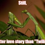 ..what isn't, though.... | Still, a better love story than "Twilight"! | image tagged in mantis cannibal | made w/ Imgflip meme maker