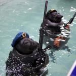 The navy seals