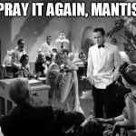 Casablanca | PRAY IT AGAIN, MANTIS | image tagged in casablanca mantis,memes,praying mantis | made w/ Imgflip meme maker