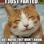 How To Get Away With.....Gas. | I JUST FARTED. BUT MAYBE THEY WON'T KNOW, IF I JUST KEEP SMILING! | image tagged in happy cat smiling,lol,memes | made w/ Imgflip meme maker