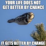 Wise Owl | YOUR LIFE DOES NOT GET BETTER BY CHANCE IT GETS BETTER BY CHANGE | image tagged in wise owl | made w/ Imgflip meme maker