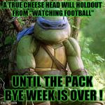 Sad Ninja Turtle | A TRUE CHEESE HEAD WILL HOLDOUT FROM "WATCHING FOOTBALL" UNTIL THE PACK BYE WEEK IS OVER ! | image tagged in sad ninja turtle | made w/ Imgflip meme maker